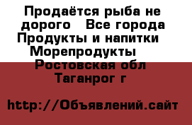 Продаётся рыба не дорого - Все города Продукты и напитки » Морепродукты   . Ростовская обл.,Таганрог г.